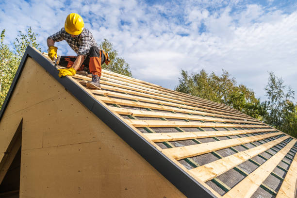 Best Gutter Installation and Roofing  in Carrington, ND