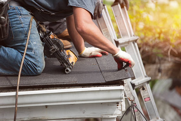 Best Roof Leak Repair  in Carrington, ND